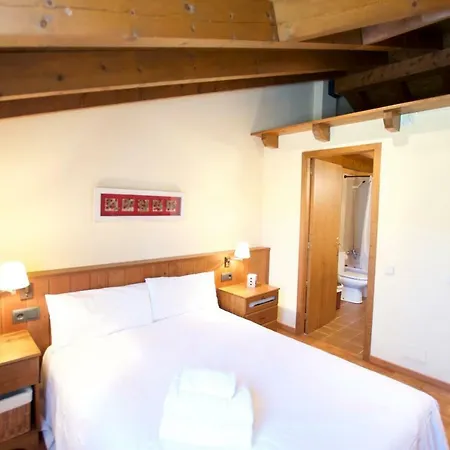 Apartamento Moixero Puigcerdà